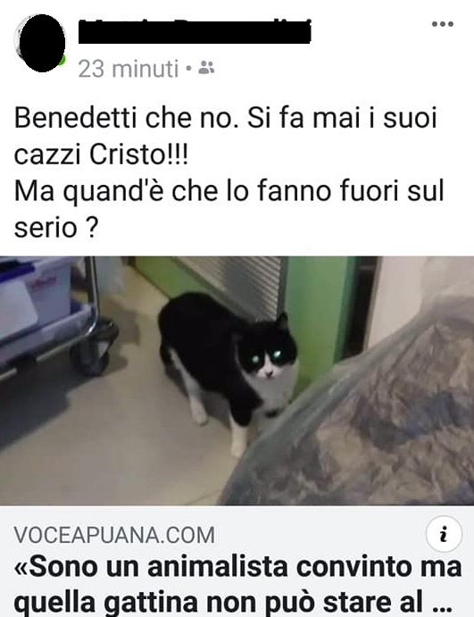 Denuncia La Presenza Di Un Gatto In Ospedale Minacciato Di Morte Ilgiornale It