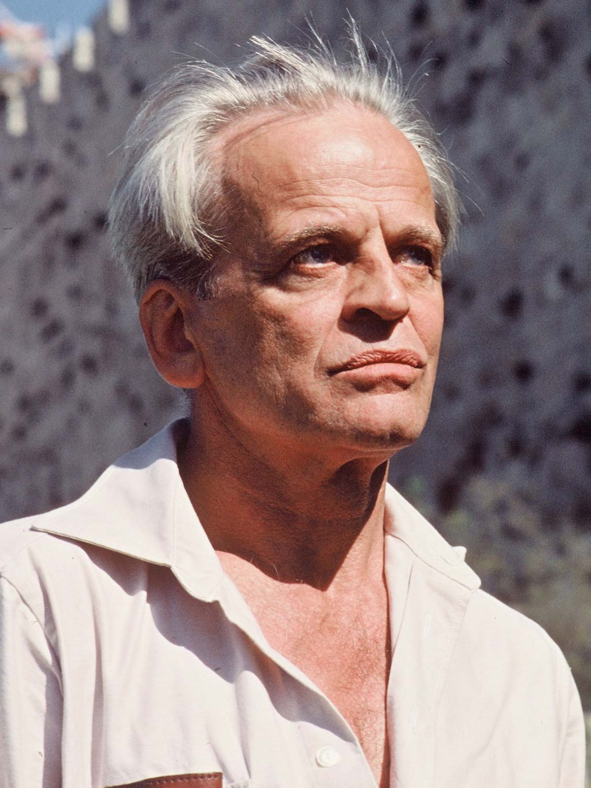 L'anima in versi di Kinski, il Nosferatu della poesia IlGiornale.it L'anima in versi di Kinski, il Nosferatu della poesia IlGiornale.it