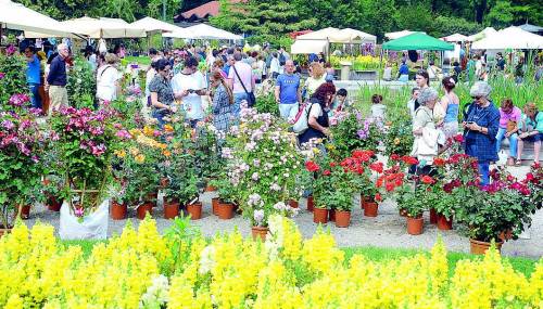 Tutto pronto per Orticola tra fiori, piante e cappelli