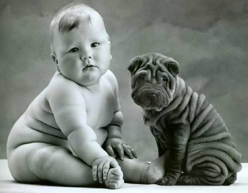 Vuoi un cane grosso? Allora devi essere grasso