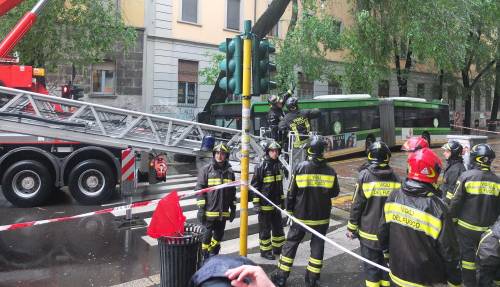 Altri 14 giorni di pioggia: un albero crolla su un bus