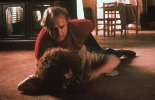Bertolucci si pente: "Ho ingannato la Schneider"