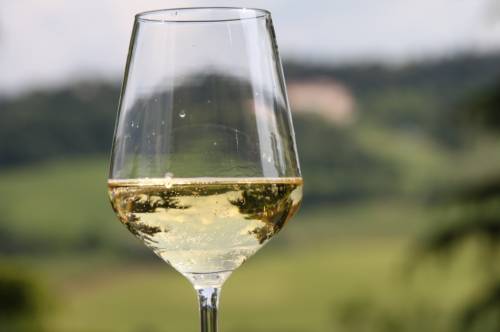 Weekend "frizzante" alla scoperta dei vini piacentini