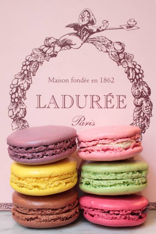 Lucca e Macaron: très chic!