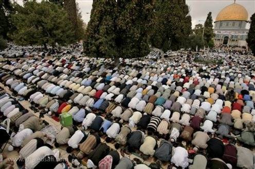 Strage Charlie Hebdo, mondo islamico diviso