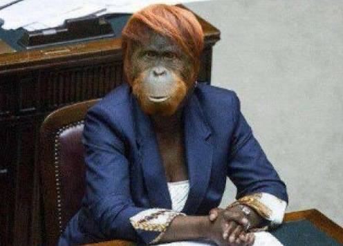 Fotomontaggio della Kyenge, per i giudici non è satira