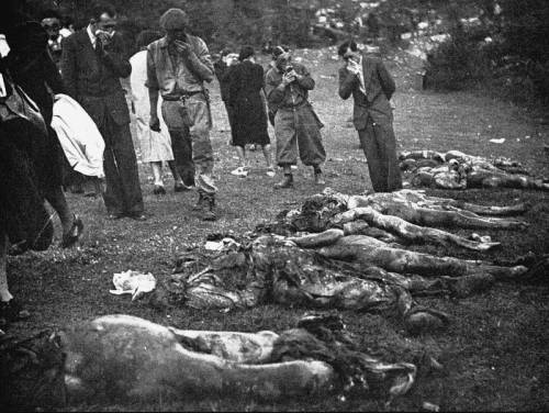 Settant'anni di omertà, ora spunta un'altra foiba