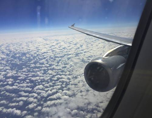 Antonio Bordoni: "Ogni anno un pilota muore a bordo dell'aereo ma le compagnie lo nascondono"