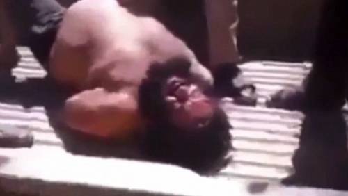 "Lo abbiamo preso": catturato il bulldozer dell'Isis
