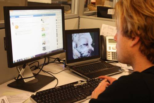 "Per entrare negli Stati Uniti servirà Facebook"