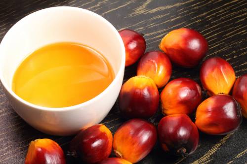 La Russia importa olio di palma per rimpiazzare il latte europeo