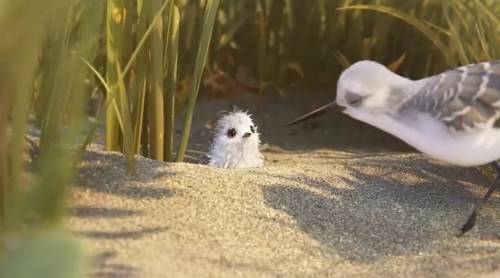 Piper, il nuovo corto della Pixar aiuta a sconfiggere le paure