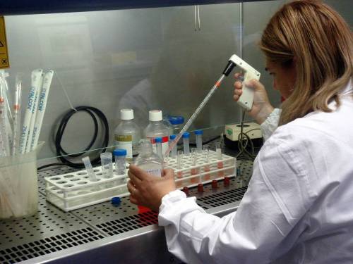 La scoperta milanese: trovata sequenza aliena di Dna nei pazienti malati di leucemia