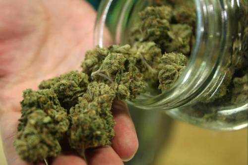 Milano, apre il primo negozio per la vendita legale di cannabis