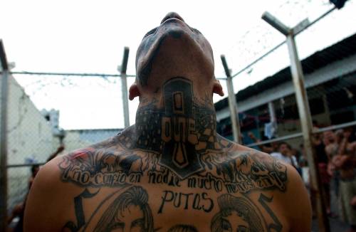 Rapine, spaccio e coltellate. La legge delle gang a Milano