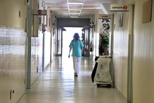 È troppo grasso: la radiografia al centro equino