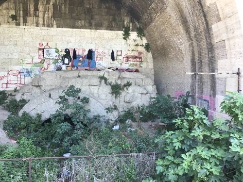 Il Tevere ostaggio del degrado, tra baraccopoli e discariche