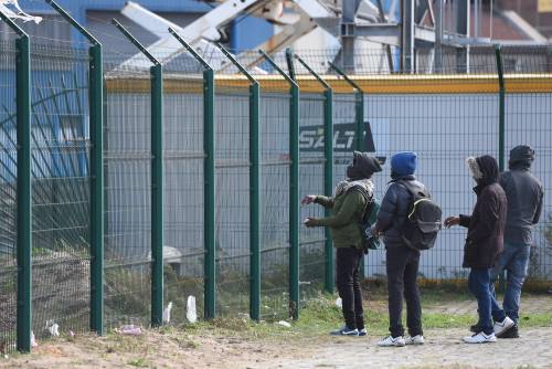 Nigeriano arrostisce un cane: banchetto choc al centro migranti