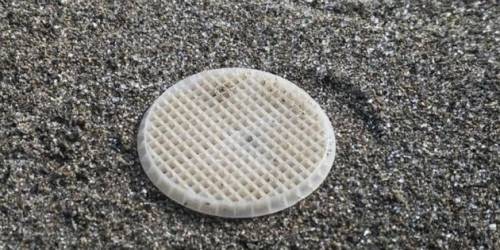 Svelato il mistero dei dischetti di plastica sulle spiagge