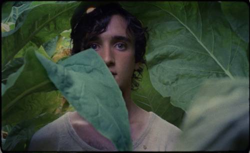 Al cinema "Lazzaro Felice", non è un paese per santi
