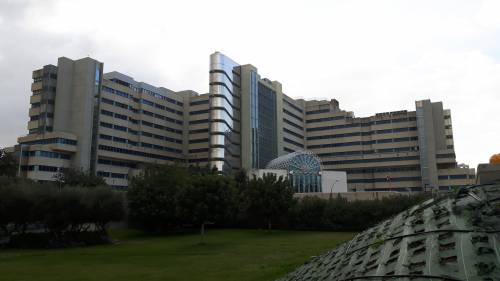 Una lettera anonima alla vedova rivela l'errore dei medici - ilGiornale.it