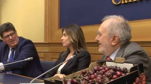 La nuova vita di Maria Elena Boschi: è 'sponsor' delle ciliegie pugliesi