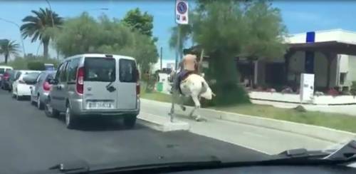 Un cavallo che corre sulla pista ciclabile? A Pescara si può