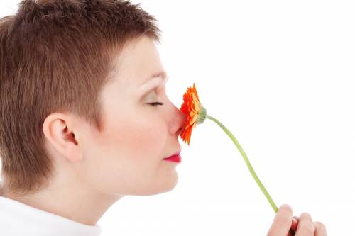 Bakuchiol: dalla natura l'alternativa di bellezza al retinolo