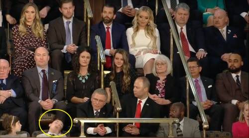 Bimbo si addormenta durante il discorso di Trump: video virale
