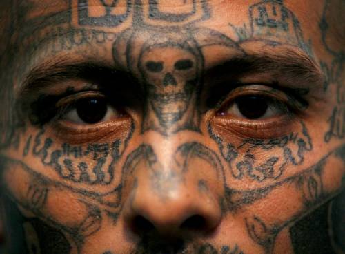 Ammazzato e seppellito nella cascina in campagna da una gang di latinos