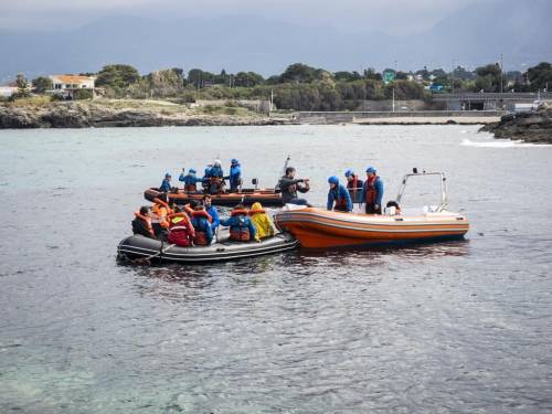 L'ong e la tempistica sospetta dietro il blitz in mare dei centri sociali