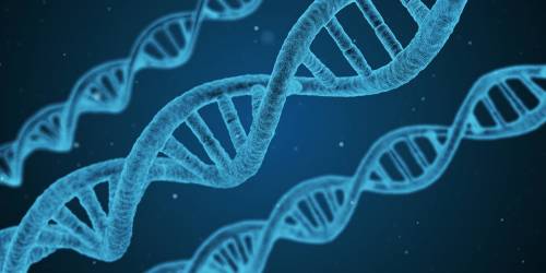 Coronavirus, studio genetico spiega perché colpisce di più gli uomini