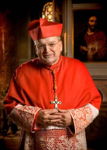 Il cardinal Burke svela le trame del sinodo vaticano sull'Amazzonia