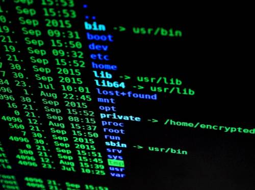 "Tutti intercettati, ma non la pedopornografia". In Senato bufera sui trojan