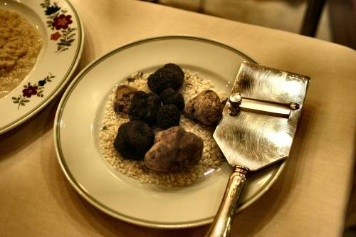 Milano come le Langhe: debutta la Fiera del tartufo