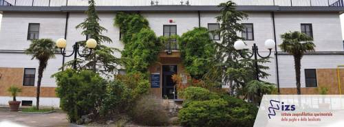 Bufera sui dirigenti dell'Istituto Zooprofilattico di Foggia: danno erariale per un milione di euro