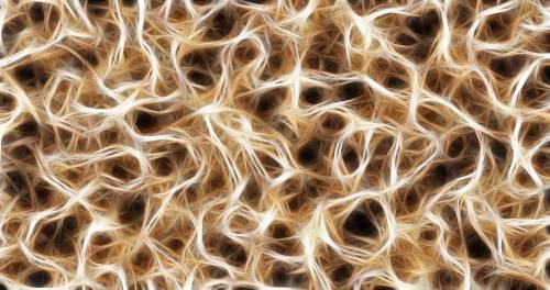 Morbo di Alzheimer: approvato in Cina farmaco a base di alga bruna