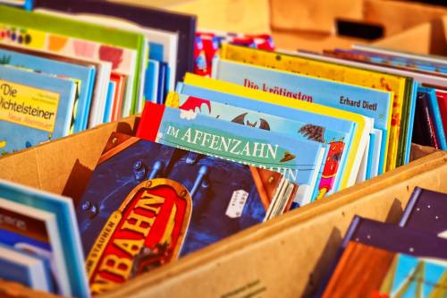 "Via dalla biblioteca libro con orsetto trans": è polemica