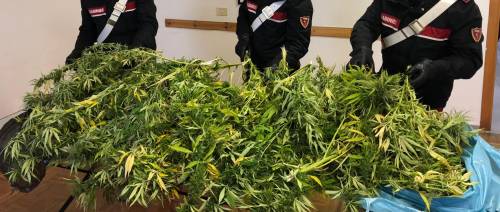 Sullo scooter con due sacchi pieni di marijuana