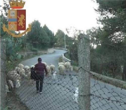 Timbravano il cartellino e portavano le pecore al pascolo