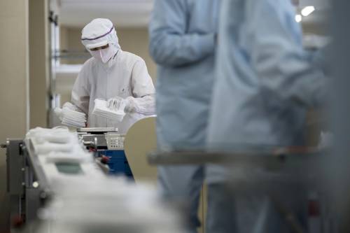 Coronavirus, gli scienziati a caccia dell'animale "untore"