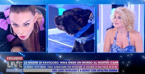 "Hai morso il mio cane". Ma Nina Moric smentisce