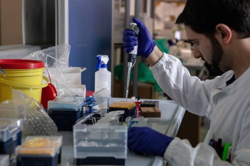 Coronavirus, pronto per la sperimentazione il farmaco capace di ucciderlo