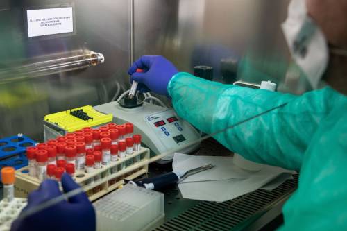 Uno studio cinese rivela: "Alcuni gruppi sanguigni sono più a rischio virus"