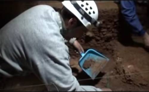 Neanderthal, preziose scoperte a Setubal: dieta e abitudini evolute