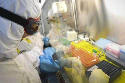 Dai test sierologici alle app: così l'Italia dà la caccia al coronavirus