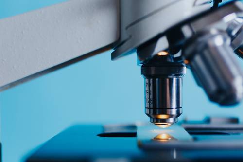 L'effetto vuoto degli scienziati