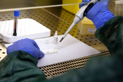 Via il virus con una trasfusione: "Si guarisce dopo sole 48 ore"