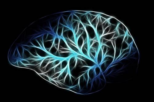 "Chi contrae la leishmaniosi non si ammala di Alzheimer"