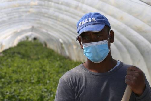 Anche gli scienziati contro la sanatoria dei migranti, ma Conte li snobba